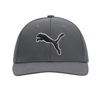 PUMA Evercat Dillon 2.0 Casquette Stretch Baseball, Gris foncé, L/XL Mixte