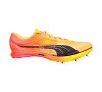 Pointes dâ€™athlÃ©tisme evoSPEED Distance NITROâ„¢ Elite 47