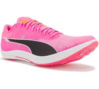 Puma evoSPEED Long Distance Rose 42