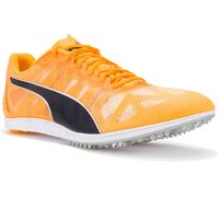 Puma evoSPEED Mid-Distance 4 M Orange 43
