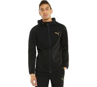 Puma Evostripe Fz Hoodie 58942451 Hommes