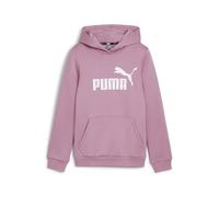 PUMA Fille À Capuche Logo FL G Sweat, Mauved Out, 164 EU