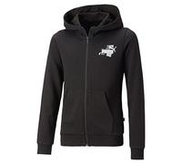 PUMA Fille Ess+ Street Art Sweat À Capuche Zippé Tr G Sudation, Puma - Noir, 164 EU