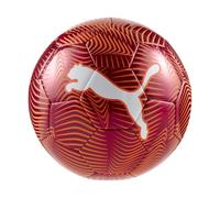 PUMA Final Graphic Ball Balles d'entraînement Mixte