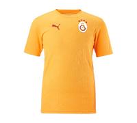 PUMA Galatasaray Istanbul T-shirt d'entraînement jaune, L pour homme