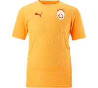 Puma Galatasaray Istanbul Training T-Shirt maillot S Orange