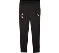 Puma Galatasaray Training Pantalon 25/26 Noir/Or 3XL