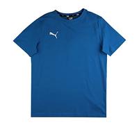 Puma Teamgoal 23 Casuals Short Sleeve T-shirt Bleu 9-10 Years Enfants