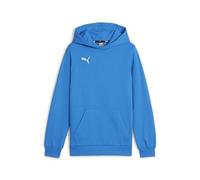 PUMA Garçon Teamgoal Casuals Sweat À Capuche Jr Pull, Bleu Ignite - Blanc Puma, 164 EU