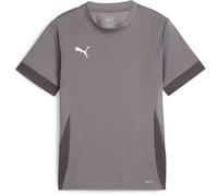 Puma GOAL Maillot Jr Gris 152