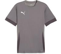 Puma GOAL Maillot Training S Gris