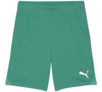 Puma GOAL Short d'entraînement Vert/Blanc 2XL