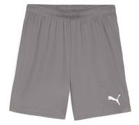 Puma GOAL Training Short XL Gris
