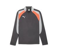 PUMA Haut à 1/4 zip individualLIGA Homme, Accessoires, Gris, XS XS