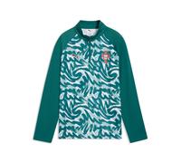 PUMA Haut d’échauffement 1/4 zip Portugal Enfant et Adolescent, Accessoires, Vert, 13-14Y 13-14Y