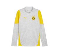 PUMA Haut d’entraînement à col zippé Borussia Dortmund Homme, Accessoires, Gris, M M