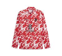 PUMA Haut d'avant-match à 1/4 zip AC Milan Homme, Sport, Blanc/Rouge, 3XL 3XL