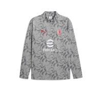 PUMA Haut d'avant-match à 1/4 zip AC Milan Homme, Sport, Smokey Gris/Blanc, 3XL 3XL