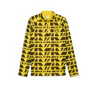 PUMA Haut d'avant-match à 1/4 zip Borussia Dortmund Homme, Accessoires, Jaune, S S