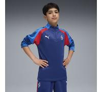 PUMA Haut de football à col zippé Neymar Jr Playmaker Enfant et Adolescent, Vêtements, Blazing Bleu/Blanc/Ultra Bleu, 5-6Y 5-6Y