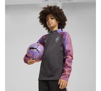 PUMA Haut de football col zippé Neymar Jr Creativity Enfant et Adolescent, Vêtements, Dark Coal/Soft Violet, 13-14Y 13-14Y
