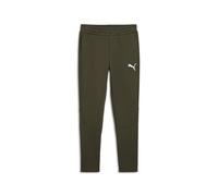 PUMA Homme Evostripe DK Pantalon Tricoté, Dark Olive Green, L EU