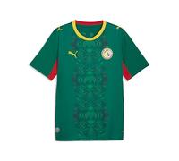 PUMA Homme FSF Senegal Home Jersey Replica 26