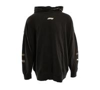 Puma, Homme, Sweatshirts et sweats à capuche, Noir, Taille: M F1 Graphic Pullover Sweat à capuche