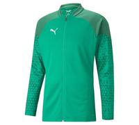 PUMA Homme Teamcup D'entraînement Veste tricot e, Vert poivre., L EU