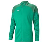 PUMA Homme Teamcup D'entraînement Veste tricot e, Vert poivre., XL EU