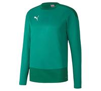 PUMA Homme Teamgoal 23 Training Sweat Pull, Pepper Green-power Green, M EU