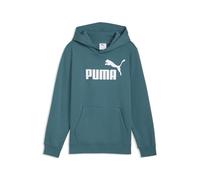 PUMA Hoodie en Molleton avec Logo N° 1 ESS Enfant et Adolescent 140, Emerald Ice Green