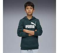PUMA Hoodie en molleton avec logo N° 1 ESS Enfant et Adolescent, Vêtements, Vert, 7-8Y 7-8Y