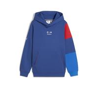 PUMA Hoodie Essentials BMW M Motorsport Enfant et Adolescent 164, Pro Blue M Color