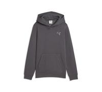 PUMA Hoodie Essentials Elevated Enfant et Adolescent 164, Moody Gray