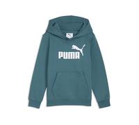 PUMA Hoodie molletonné à Logo N° 1 ESS Enfant 116, Emerald Ice Green