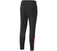 Puma individualFINAL football pantalon d'entraînement homme noir taille L