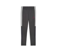 PUMA IndividualLIGA Pantalon d'entraînement