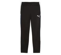 PUMA IndividualLIGA Pantalon d'entraînement