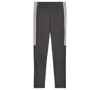 PUMA IndividualLIGA Pantalon d'entraînement