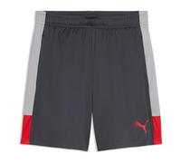 PUMA Individualliga Training Shorts - Short tricoté - Short tricoté - Homme