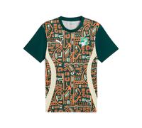 PUMA Maillot Avant-Match Côte d'Ivoire Homme - Green S