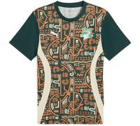Vêtements Puma FIF Prematch SS Jersey pour Homme XS Multicolore