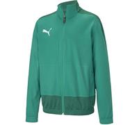 Puma Kids' Team Goal Long Sleeve Performance Training Jacket Poivre Vert 9-10 (M) Male