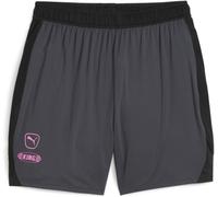 Puma King Pro Football Shorts Gris Fort 2XL Male