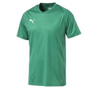 PUMA Liga Core Maillot Homme Pepper Vert/Puma Blanc, 44/46 (S)