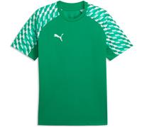 PUMA T-Shirt fonctionnel 'teamLIGA26' émeraude / blanc, Taille M