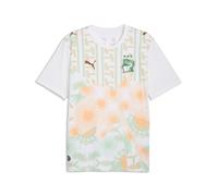 PUMA Maillot Away 2026 Côte d'Ivoire Homme, Accessoires, Blanc, XS XS