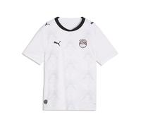 PUMA Maillot Away 2026 Égypte Enfant et Adolescent, Accessoires, Blanc, 13-14Y 13-14Y