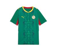 PUMA Maillot Away 2026 Sénégal Enfant et Adolescent, Accessoires, Vert, 7-8Y 7-8Y